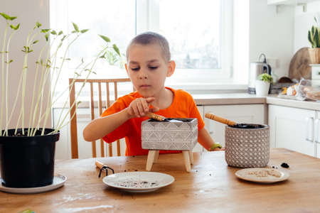 Little gardener loosening soil in ceramic potの写真素材
