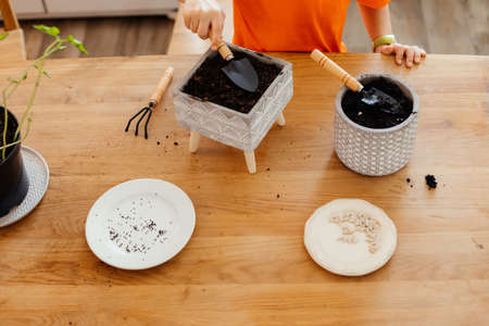 Little gardener loosening soil in ceramic potの写真素材
