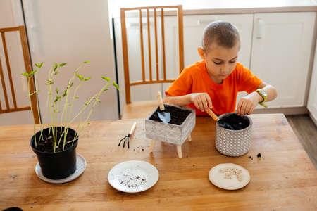 Kid learning to plant seed by himselfの写真素材