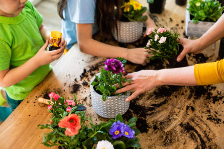 Educational hobbies, development of family with childrenの写真素材