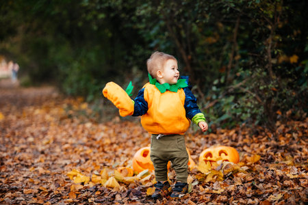 Child in pumpkin costume exploring park at Halloweenの写真素材