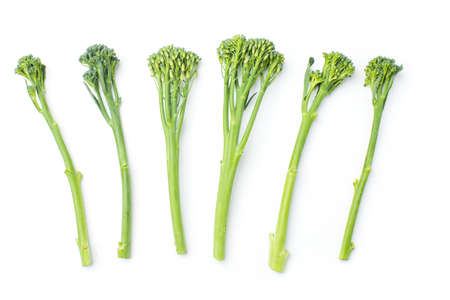 Raw broccolini at the row on white background