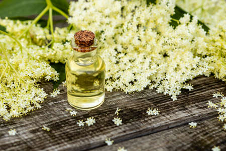The fragrant elderberry flower with essential oil on a wooden table