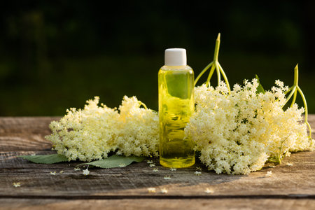 The fragrant elderberry flower with essential oil on a wooden tableの写真素材