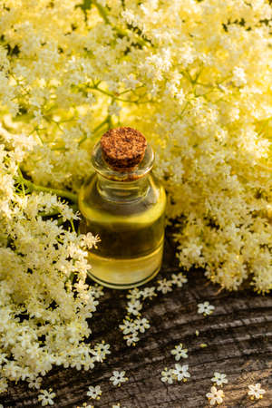 The natural essential oil of fragrant elderberry flowers