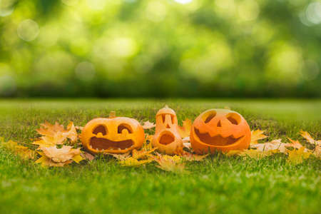 Carved halloween pumpkins on outdoor green grassの写真素材