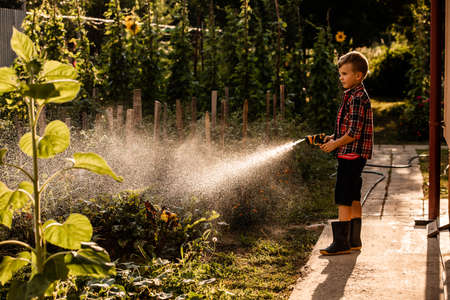 The boy is watering the garden bed using a hoseの写真素材