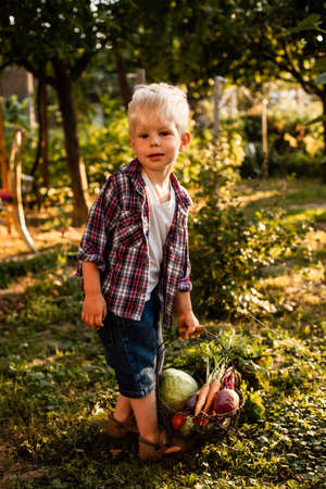 The toddler examines a basket of vegetablesの写真素材