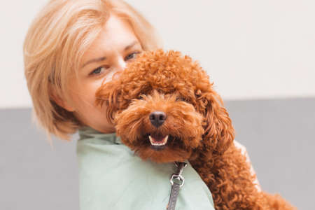 Pet parent concept. Portrait of woman with cute dogの写真素材