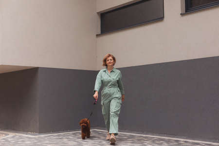 Woman walking in the city with brown Toy Poodleの写真素材