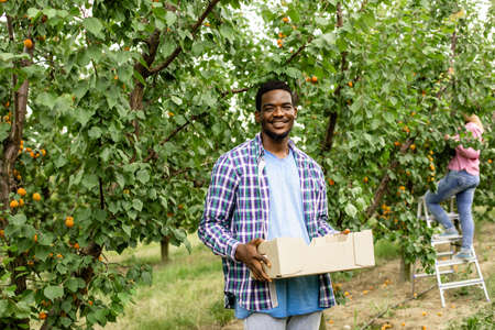 Co-workers at the fruit farm after picking harvestの写真素材