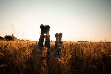Couples legs over grain field and skyの写真素材