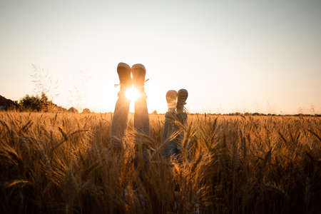 Couples legs over grain field and skyの写真素材