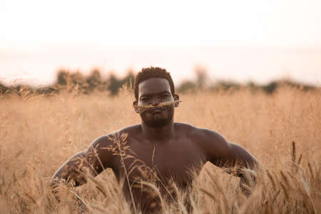 Handsome muscular man posing on rye field backgroundの写真素材