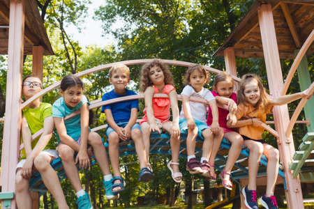 The cute kids are resting in the playground in summerの写真素材