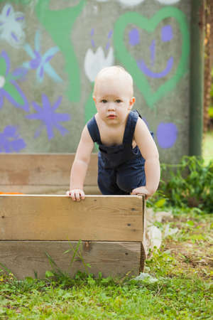 The lonely baby is playing in the summer gardenの写真素材