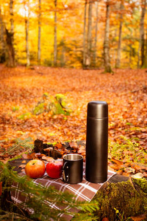 Tourist lunch at the background of the wonderful autumn forestの写真素材