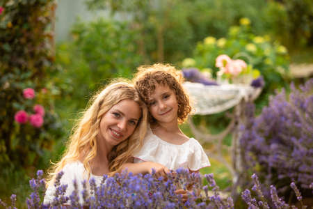Romantic portrait o charming girl in straw hat in lavenderの写真素材