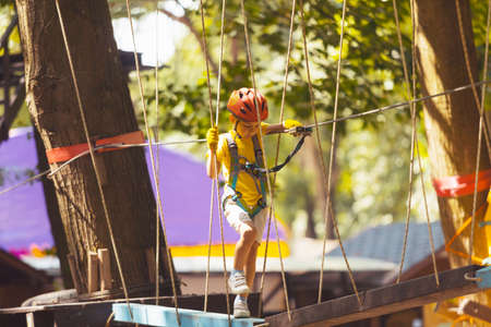 The cute preschooler are playing in the adventure park