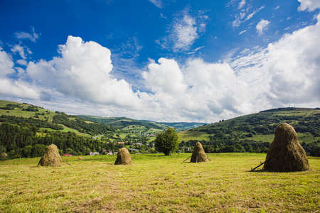Idyllic landscape in the mountains with fresh green meadowsの写真素材