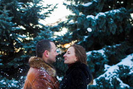 The couple in love in a winter park are looking at each otherの写真素材