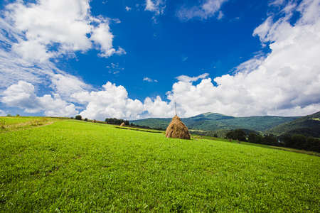 Idyllic landscape in the mountains with fresh green meadowsの写真素材