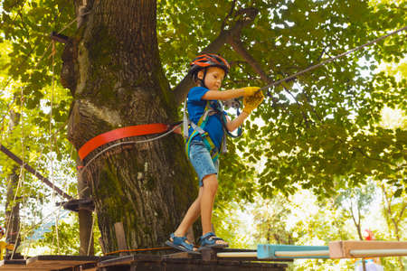 The concentrated kids are climbing in the high rope park