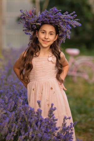 Beautiful long hair girl near lavender bushesの写真素材