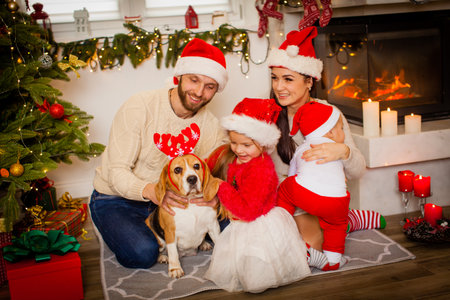 Family while sitting near beautiful Christmas tree at homeの写真素材