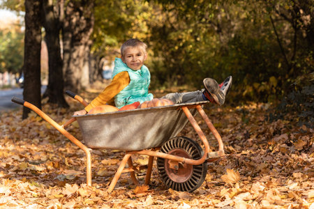 Boy has fun in the wheelbarrow with pumpkinsの写真素材
