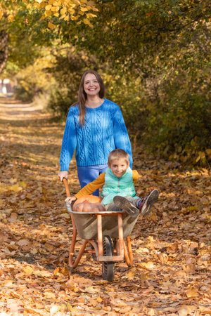 Mother have fun time with kid, use garden wheelbarrow with pumpkinsの写真素材