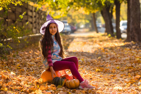 Halloween and Thanksgiving time fun at pumpkin patchの写真素材