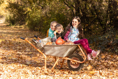 Kids have fun in the wheelbarrow with pumpkinsの写真素材
