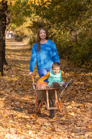 Mother have fun time with kid, use garden wheelbarrow with pumpkinsの写真素材