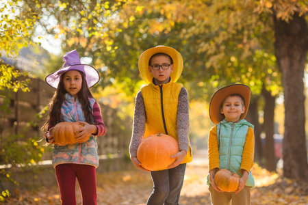 Kids picking and carving pumpkins at country farmの写真素材