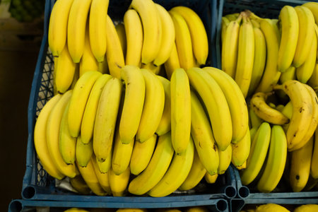 Fresh bananas in plastic boxes on big marketの写真素材