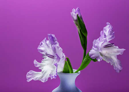 beautiful bouquet of summer flowers on a bright backgroundの写真素材