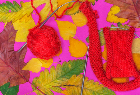 Dry autumn leaves are yellow-brown and green. Knitting for the soul.
