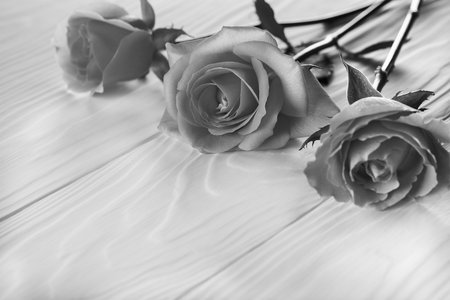 monochrome background of roses on wooden backgroundの写真素材