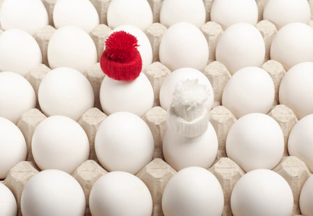 A lot of white eggs in a cardboard box. Eggs in a box close-up.の写真素材