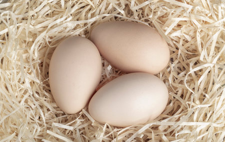 Fresh chicken eggs on straw close-up. View from above.