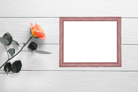 beautiful flowers roses and color frame for congratulationsの写真素材