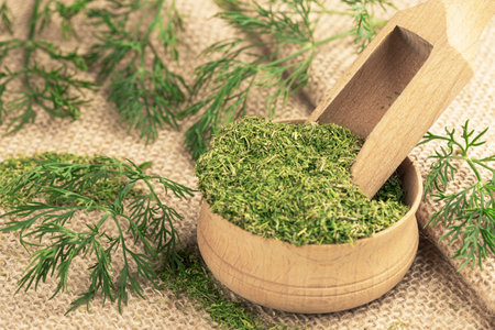 Dried chopped dill in a wooden bowl and sprigs of fresh dillの写真素材