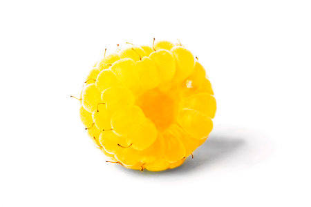 yellow raspberries close up on white backgroundの写真素材