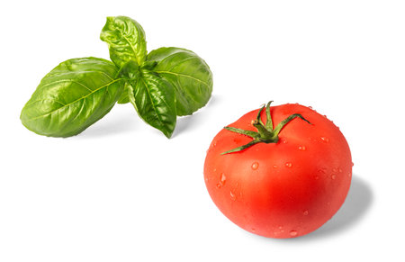 Big red tomato and green basil leaves on white backgroundの写真素材
