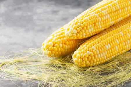 Fresh yellow corn on the cob, close up