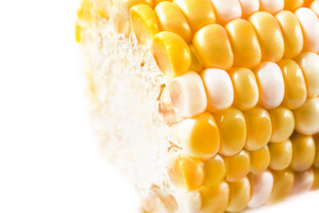 yellow corn cob isolated on white background with full depthの写真素材