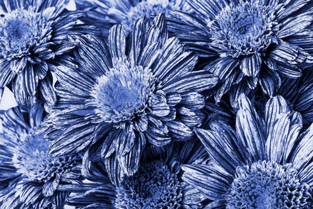 Beautiful vintage floral background with blue flowers