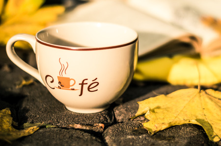 Cup of coffee when standing on the pavement in the parkの写真素材