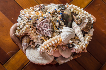 decorative sea shells and corals closeup on a wooden tableの写真素材